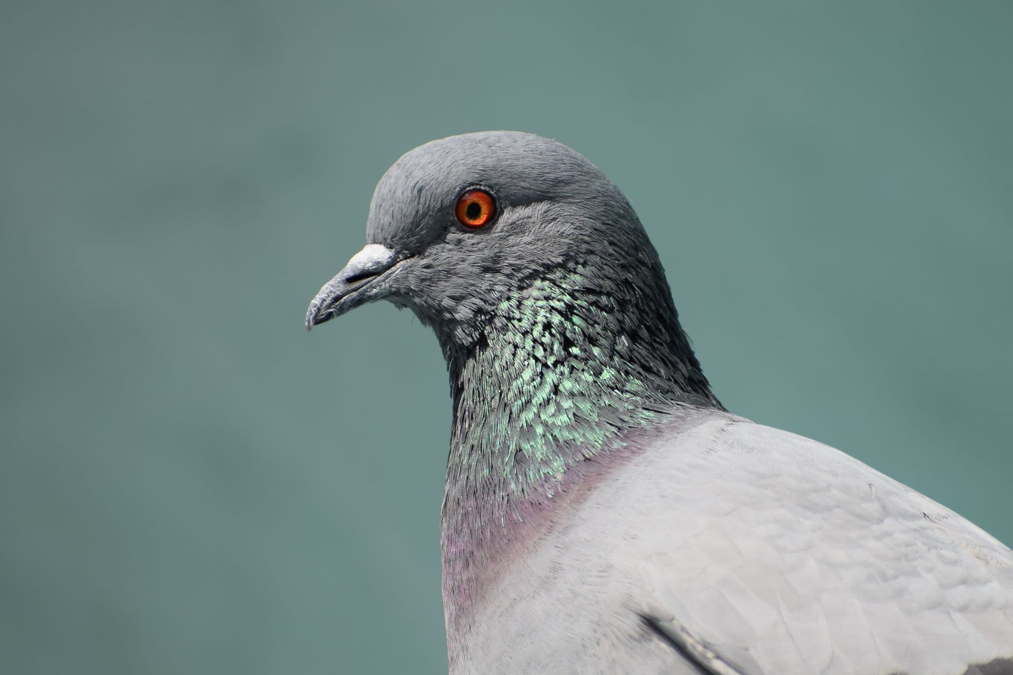 Platzhalterfoto